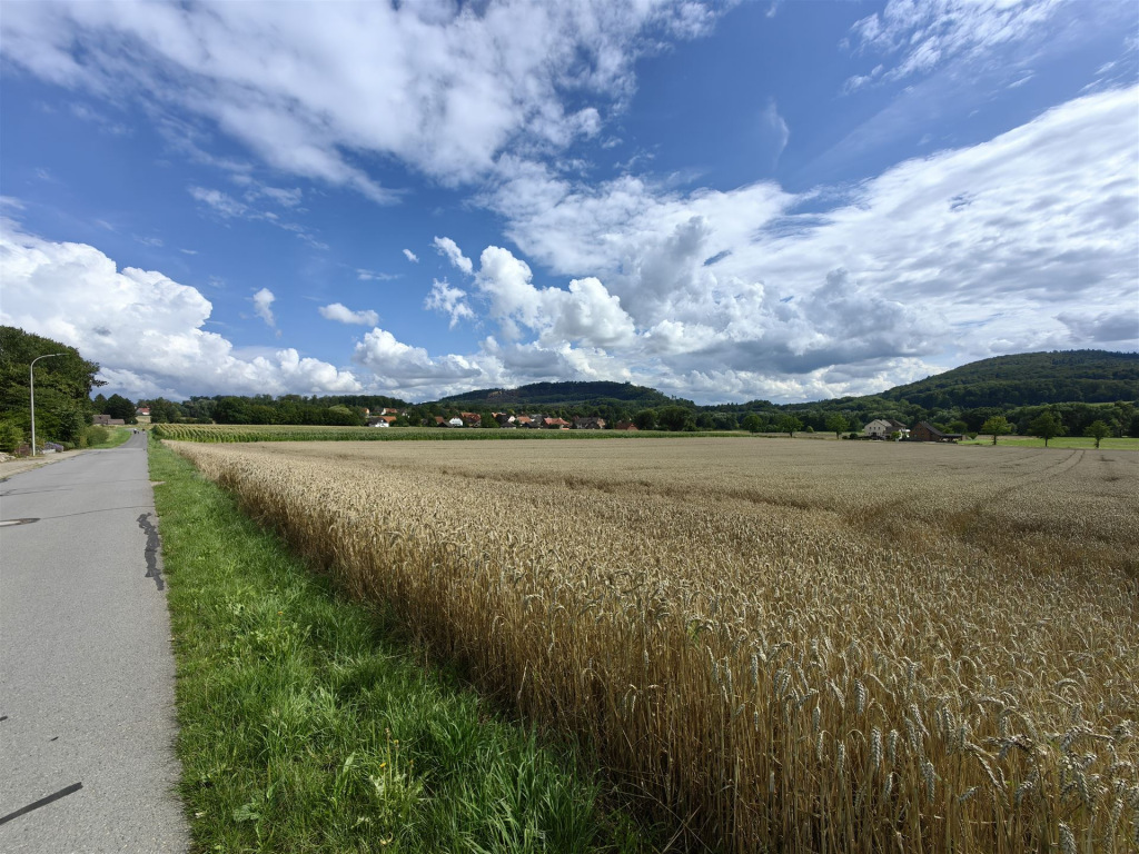 Bild von Buchholz vom Feld aus Bild 1